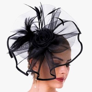 Elegant High Fashion Feathers & Lace Veil Fascinator Kentucky Derby Tea Church